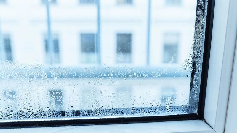 “Mùa nồm là gì?” là câu hỏi nhiều người đặt ra khi thời tiết ẩm ướt kéo dài gây bất tiện trong sinh hoạt