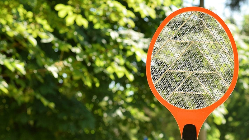 Mua thuốc diệt kiến ba khoang ở đâu? 2