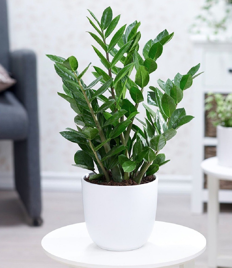 Mực in có độc không? Khám phá tính an toàn của mực in 3