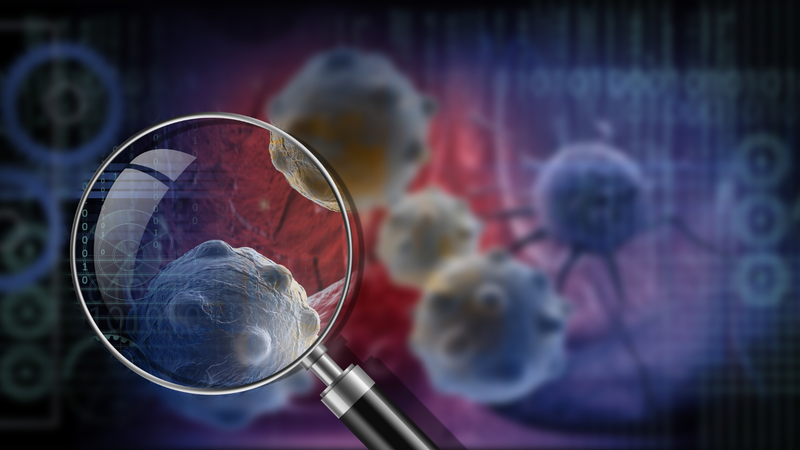 muc-ong-thanh-phan-dinh-duong-va-che-bien-cac-mon-tu-muc-ong 3