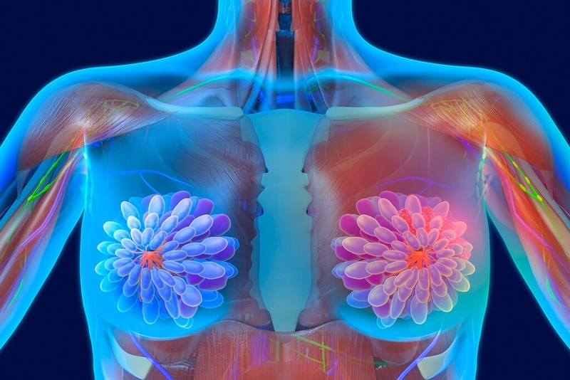 Liệu pháp nội tiết trong điều trị ung thư vú là gì? Mục tiêu sử dụng trong điều trị 1