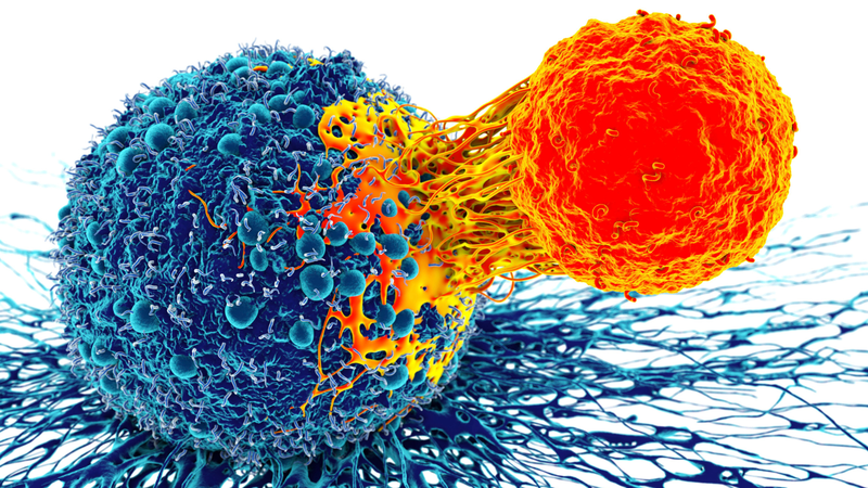 Liệu pháp nội tiết trong điều trị ung thư vú là gì? Mục tiêu sử dụng trong điều trị 4