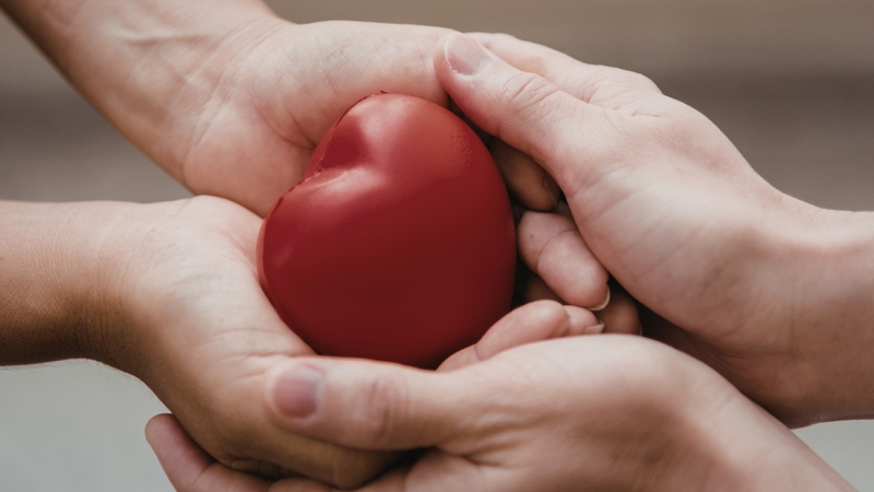 Hàm lượng selen trong mực xà còn giúp tăng cường hệ miễn dịch và hỗ trợ bảo vệ tim mạch