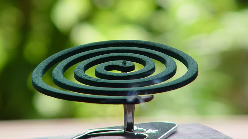 Mùi nhang muỗi có độc không? Lưu ý sức khỏe 1