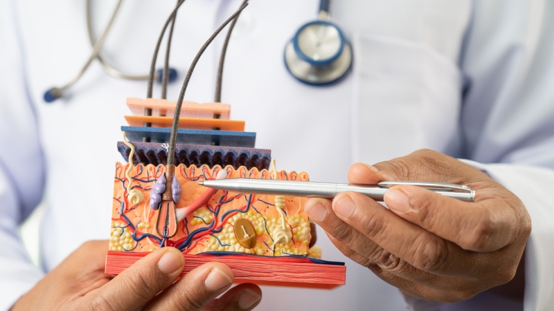 Mũi nằm trong vùng chữ T của khuôn mặt, nơi có sự hoạt động mạnh của tuyến dầu