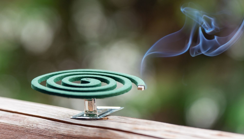 Muỗi Culex truyền bệnh gì? Những đặc điểm và cách phòng tránh muỗi Culex 5