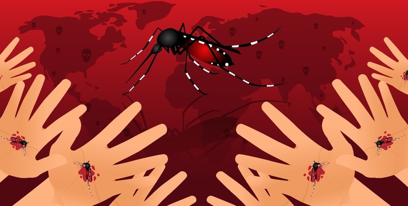 muoi-anophen-gay-benh-truyen-nhiem-gi-va-cach-phong-tranh 3.jpg