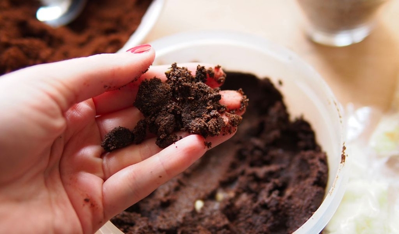 Muỗi sợ mùi gì? Đuổi muỗi bằng nguyên liệu tự nhiên an toàn và hiệu quả 3