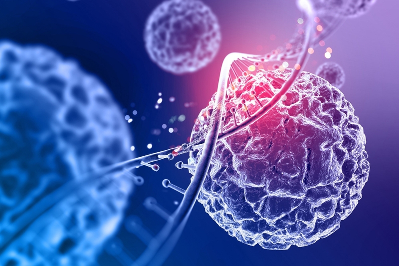 Mứt gừng bao nhiêu calo? Lưu ý khi ăn để tránh ảnh hưởng sức khỏe -  3