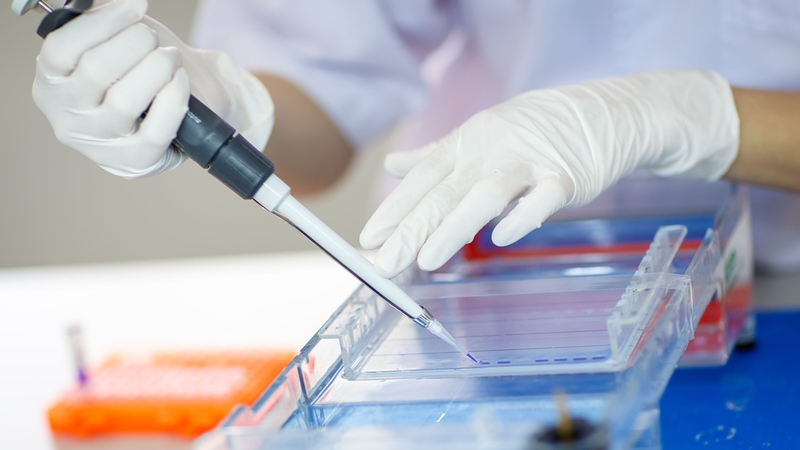 Mycobacterium Tuberculosis và những điều bạn cần biết 4