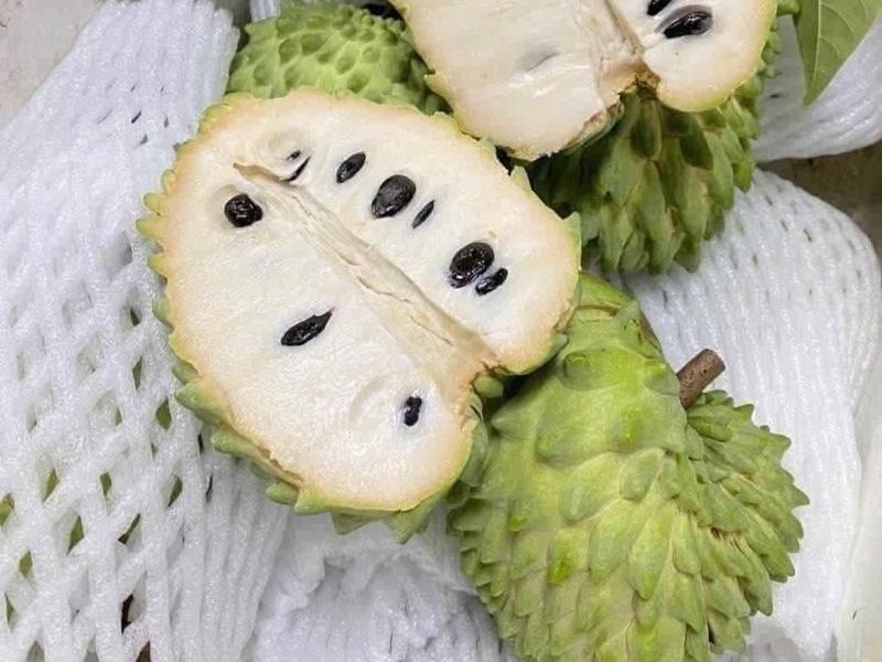 Nên chọn mua những quả chín tới, bóp thấy mềm nhẹ