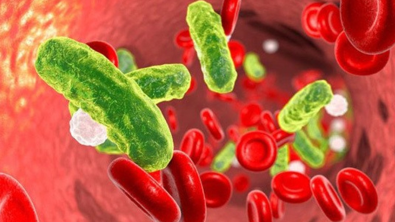 Nang âm hộ là gì? Nguyên nhân, triệu chứng và cách điều trị 1