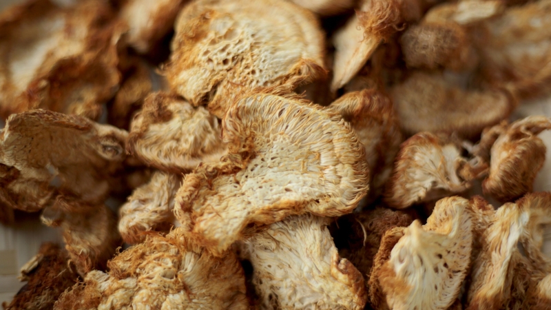 Nấm bờm sư tử: Công dụng và giá trị “vàng” đối với sức khỏe 4