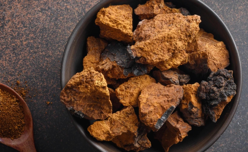 Nấm Chaga để được bao lâu? Hướng dẫn bảo quản đúng cách 3