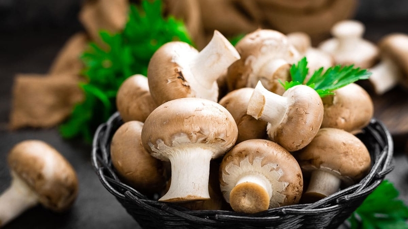 Nấm có chất xơ không? Lưu ý gì khi ăn nấm? 2