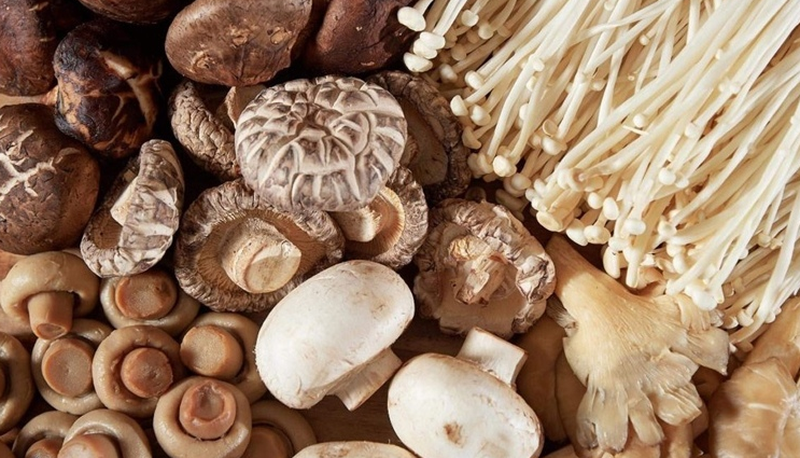 Nấm có tốt cho người bị tiểu đường? Dùng nấm sao cho an toàn? 1