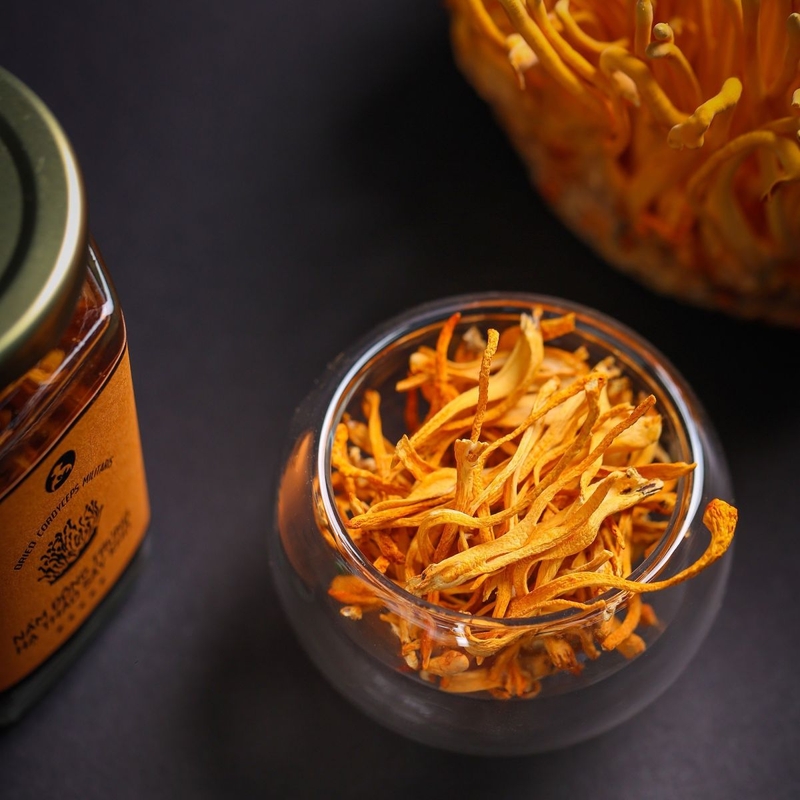 Khi nào không nên uống đông trùng hạ thảo? 3