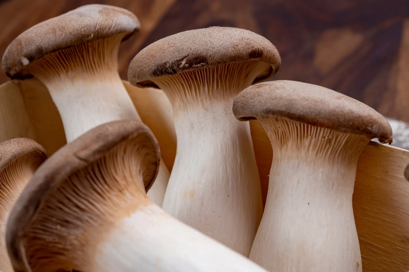 Nấm đùi gà bao nhiêu calo? Lưu ý khi sử dụng - 1