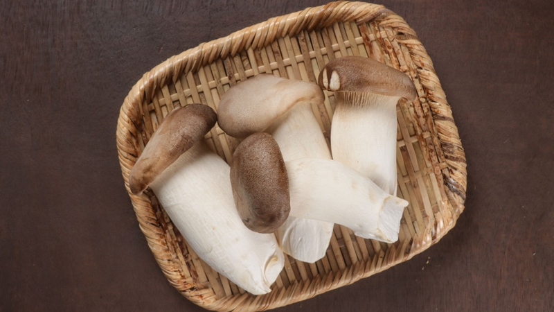 Nấm hoàng đế và những tác dụng bất ngờ cho sức khỏe 3