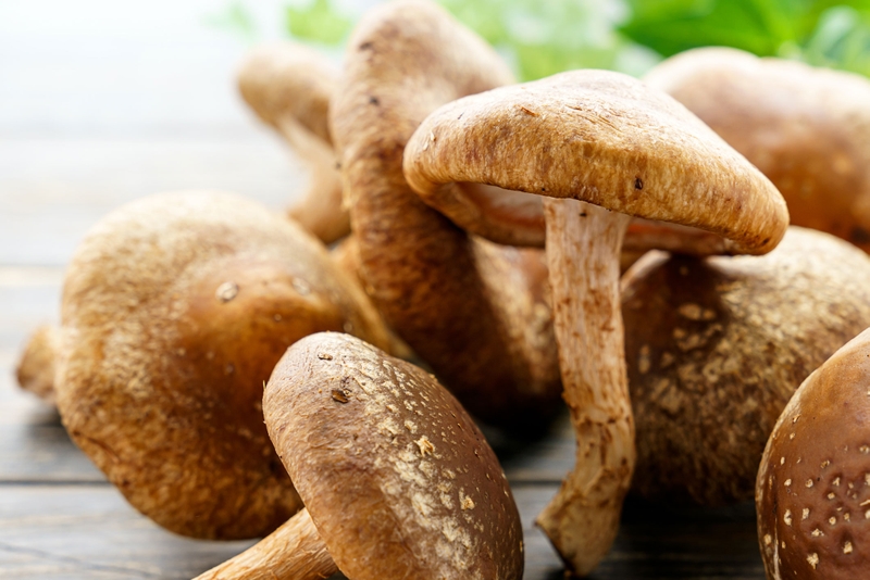 Nấm hương bao nhiêu calo? Ăn nhiều có tốt không? - 1