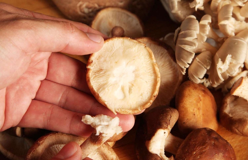 Nấm hương bao nhiêu calo? Ăn nhiều có tốt không? - 4