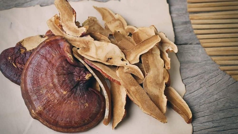 Nấm lim xanh bảo quản được bao lâu? Hướng dẫn bảo quản nấm lim xanh 2