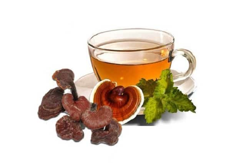 Nấm lim xanh có đắng không? Nấm lim xanh có vị gì? 2