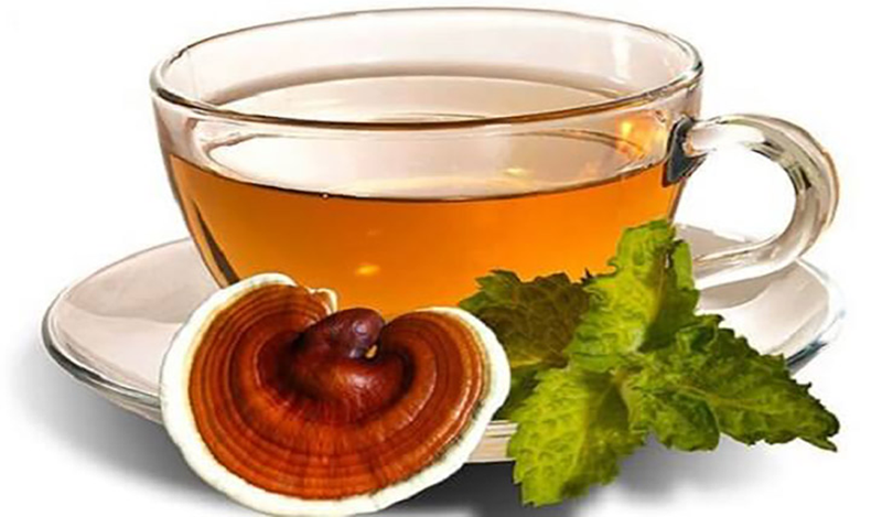 Nấm lim xanh hội tụ hơn 100 loại dược chất có lợi