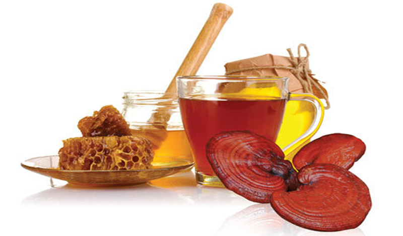 Nấm linh chi được mệnh danh là thượng dược trong Đông y