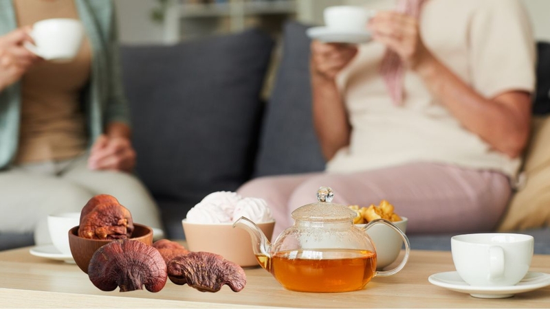 Sử dụng nấm linh chi đúng liều lượng và đối tượng giúp đảm bảo an toàn cho cơ thể