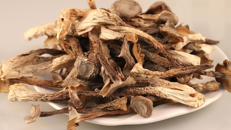 Nấm lộc nhung: Lợi ích sức khỏe và giá trị dinh dưỡng ít người biết 1