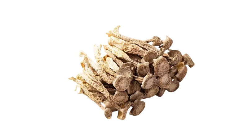 Nấm lộc nhung: Lợi ích sức khỏe và giá trị dinh dưỡng ít người biết 4