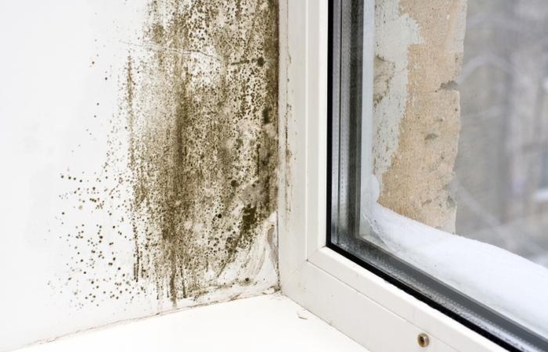 Đừng bỏ qua các cách diệt nấm mốc hiệu quả nhưng cực đơn giản này! 1