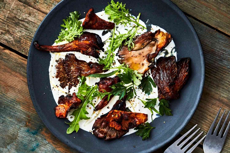 Nấm mồng gà: Đặc điểm, tác dụng và cách chế biến 4