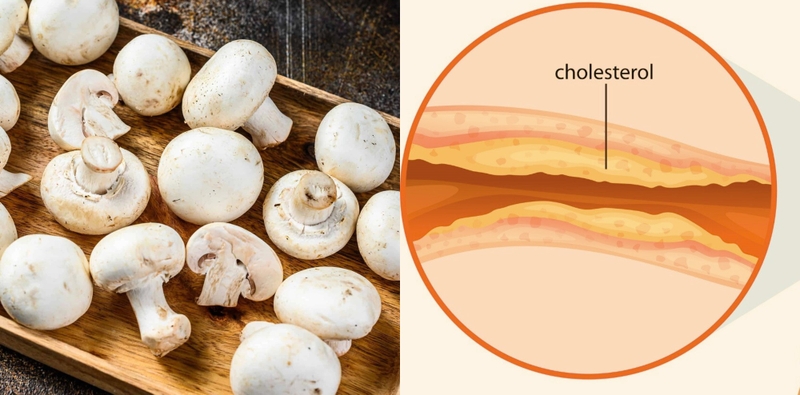 nam-nut-la-gi-mot-so-cong-dung-cua-nam-nut-doi-voi-suc-khoe 2.jpg