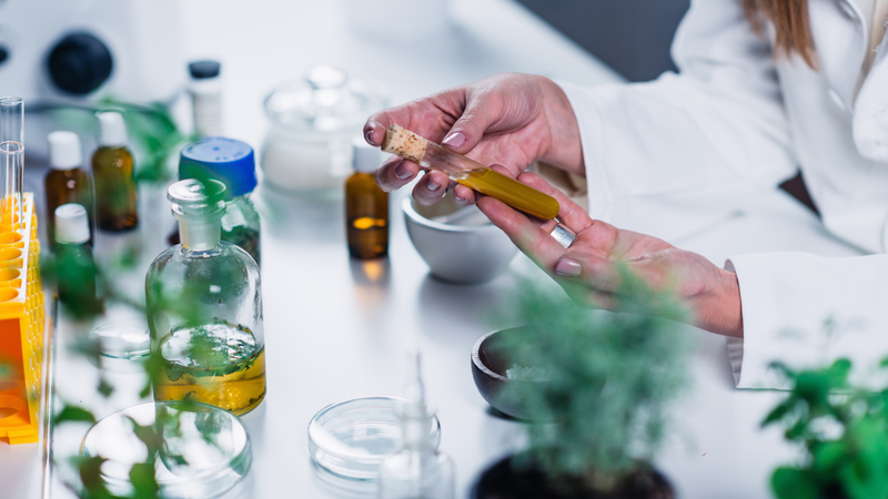 Nấm nút trắng có thể giúp ngăn ngừa sự tiến triển của ung thư tuyến tiền liệt 2