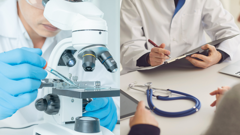 Nấm nút trắng có thể giúp ngăn ngừa sự tiến triển của ung thư tuyến tiền liệt 3