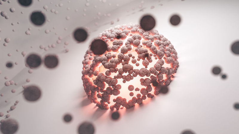 Beta-glucan và axit linoleic trong nấm rơm đã được chứng minh có tác dụng ức chế sự tăng sinh của tế bào ung thư vú