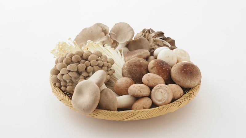 Ăn nấm rơm nhiều có tốt không?