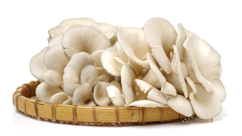 Nấm sò trắng: Lợi ích sức khoẻ và cách chế biến 2