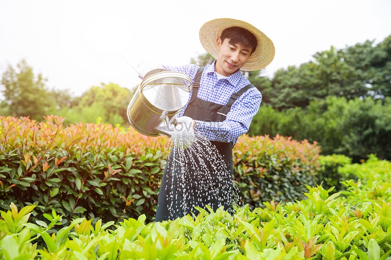 Nấm sporothrix schenckii là gì? Làm sao điều trị? 2