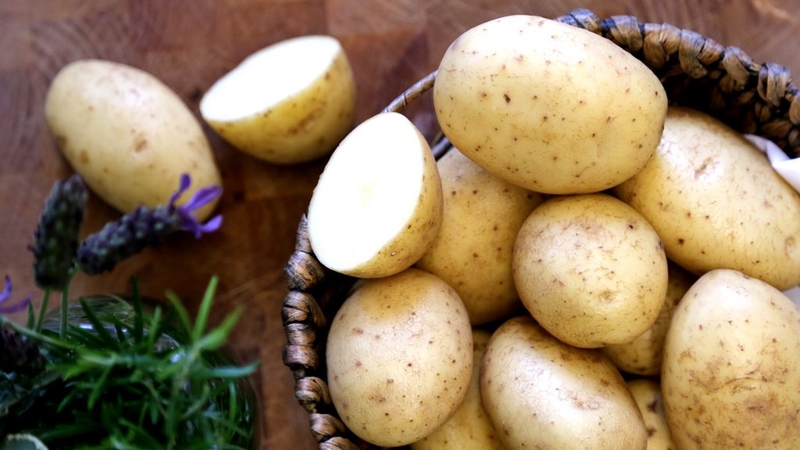 Ăn đồ ăn lỏng, dễ tiêu như cháo.