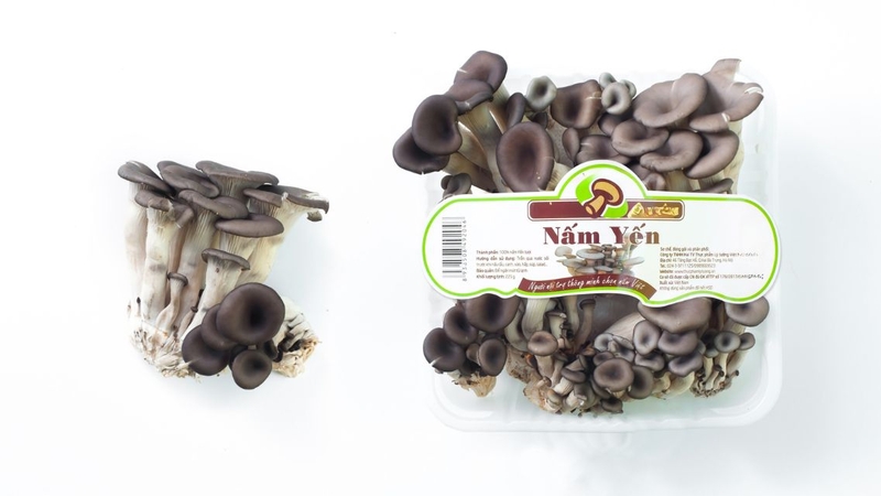 Nấm yến: Thành phần dinh dưỡng, lợi ích sức khỏe và cách dùng đúng 1