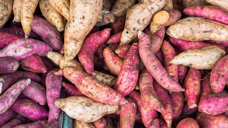 Nâng mũi ăn khoai lang được không và cần lưu ý gì 2