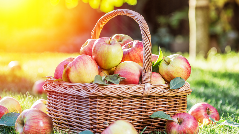 Nâng mũi ăn mận được không? Nâng mũi nên ăn trái cây gì? 3