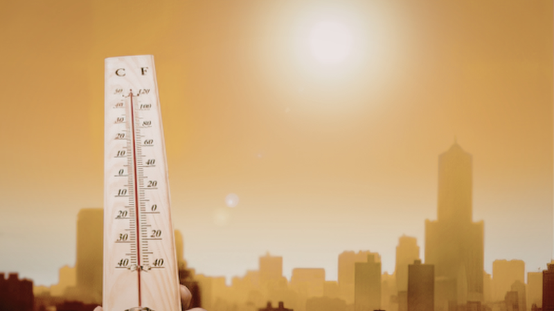 Nắng nóng kéo dài, cẩn trọng với nguy cơ ngộ độc thực phẩm