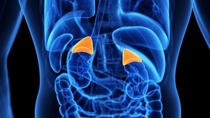 Nang tuyến thượng thận: Tìm hiểu nguyên nhân và phương pháp điều trị 1