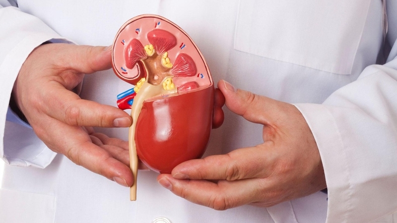 Nang tuyến thượng thận: Tìm hiểu nguyên nhân và phương pháp điều trị 4