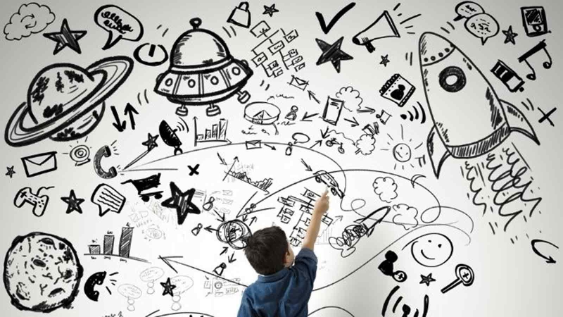 Não trái hay não phải thông minh hơn? Giải đáp thắc mắc 3