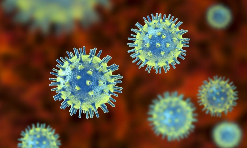 Naringenin là gì? Những lợi ích của hợp chất này đối với sức khỏe - 2